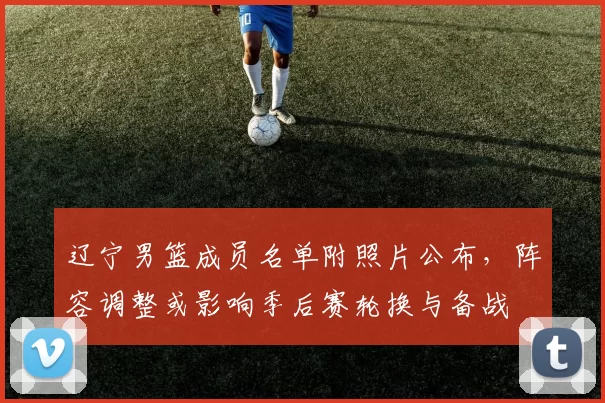 辽宁男篮成员名单附照片公布，阵容调整或影响季后赛轮换与备战