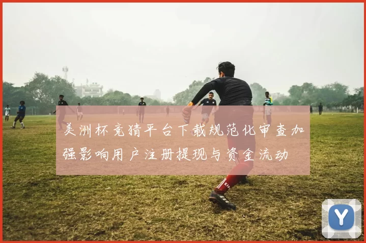 美洲杯竞猜平台下载规范化审查加强影响用户注册提现与资金流动